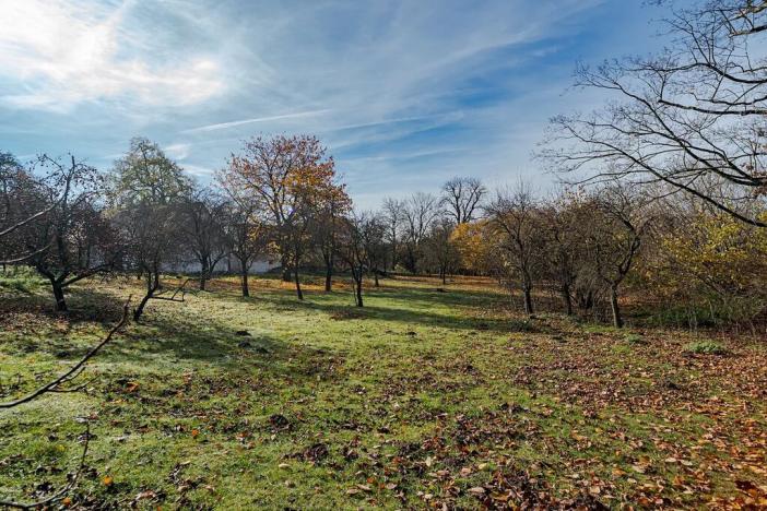 Prodej zemědělské usedlosti, Vysoké Mýto, 250 m2
