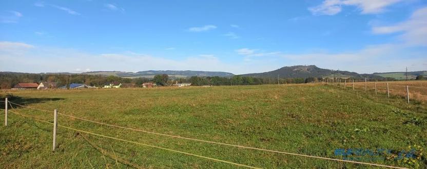 Prodej louky, Police nad Metují, 9001 m2