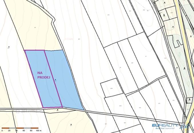 Prodej louky, Police nad Metují, 9001 m2