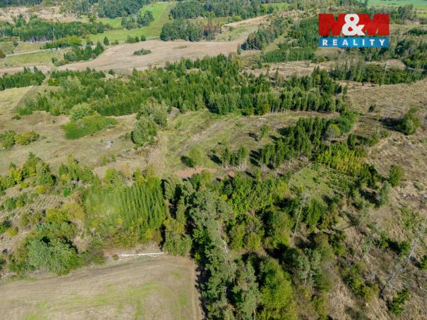 Prodej lesa, Horní Heřmanice, 31116 m2