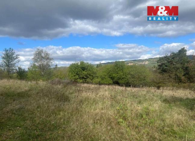 Prodej zahrady, Lešany, 5897 m2