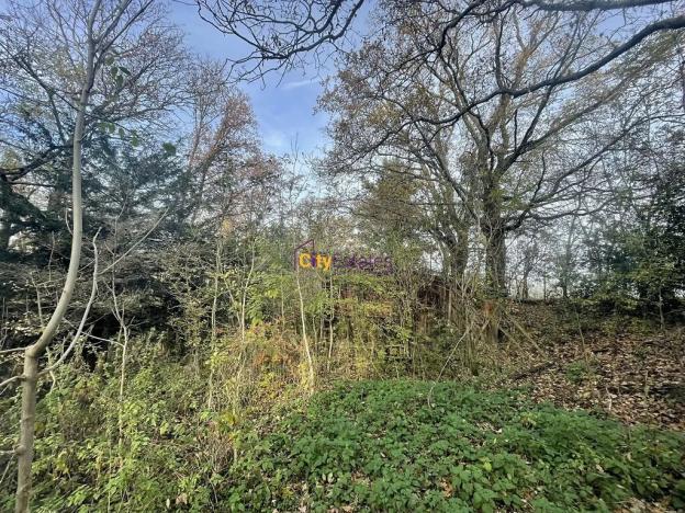 Prodej louky, Popovičky, 1643 m2