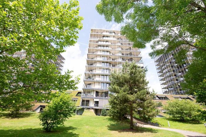 Pronájem bytu 3+kk, Praha - Žižkov, Ke kapslovně, 88 m2