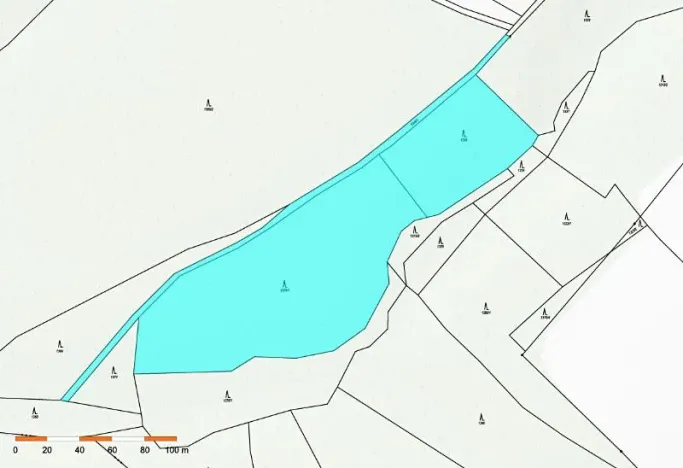 Prodej lesa, Česká Bělá, 18552 m2