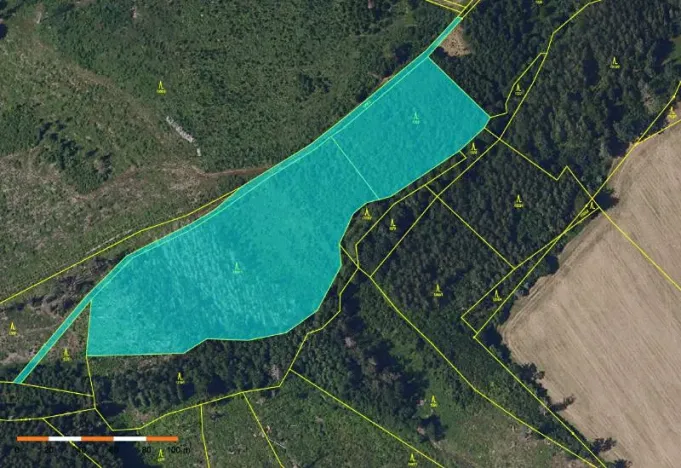 Prodej lesa, Česká Bělá, 18552 m2