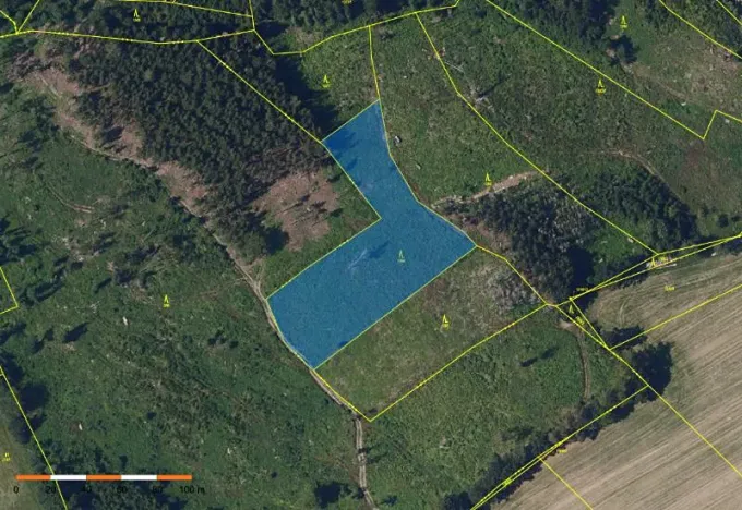 Prodej lesa, Česká Bělá, 6755 m2