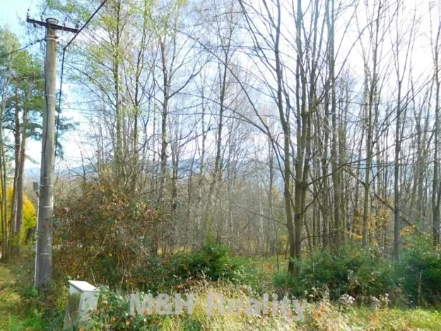 Prodej pozemku pro bydlení, Frýdlant nad Ostravicí, Podlesí, 552 m2