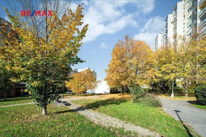 Pronájem bytu 1+kk, Praha - Chodov, Benkova, 30 m2