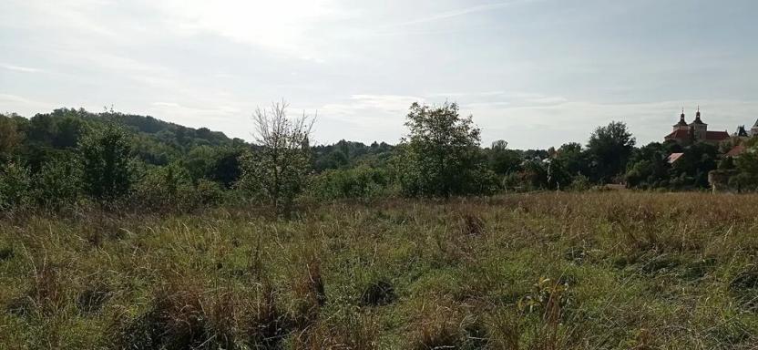 Prodej pozemku pro bydlení, Kouřim, Na Salabce, 2614 m2