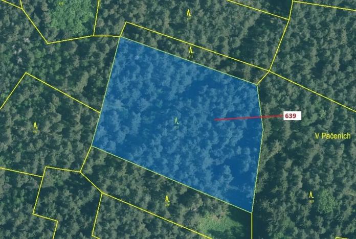 Dražba lesa, Kuřimany, 8912 m2