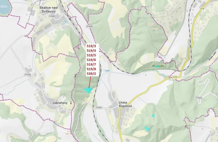 Dražba lesa, Lhota Rapotina, 11294 m2