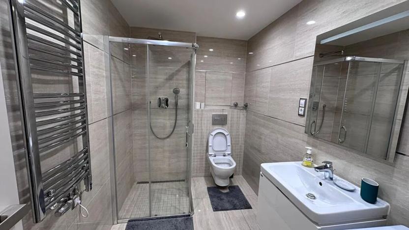 Pronájem bytu 1+kk, Praha - Žižkov, Olšanská, 36 m2