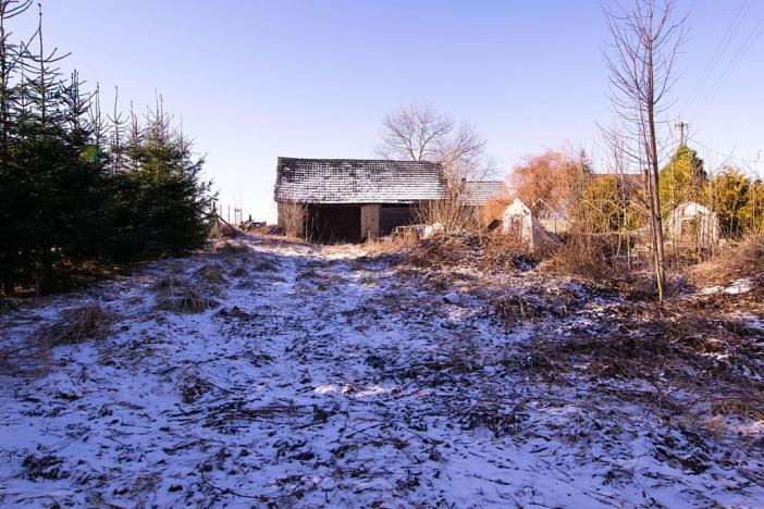 Prodej komerčního pozemku, Dolní Kralovice, 2847 m2