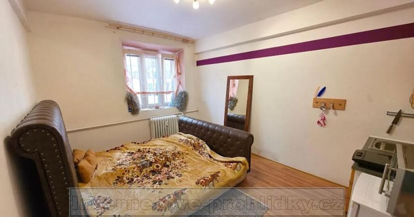 Pronájem pokoje, Praha - Holešovice, Bubenská, 16 m2