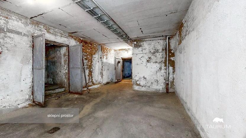 Prodej rodinného domu, Roupov, 525 m2