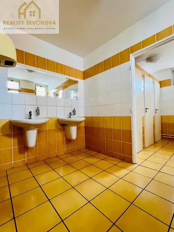 Pronájem kanceláře, Hradec Králové, Bieblova, 35 m2