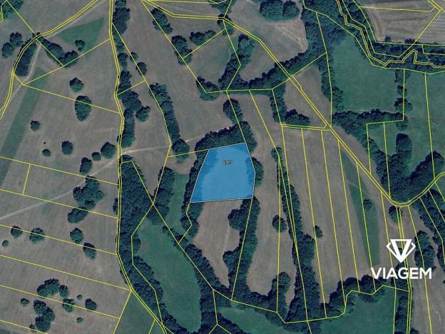 Prodej podílu pole, Javorník, 397 m2