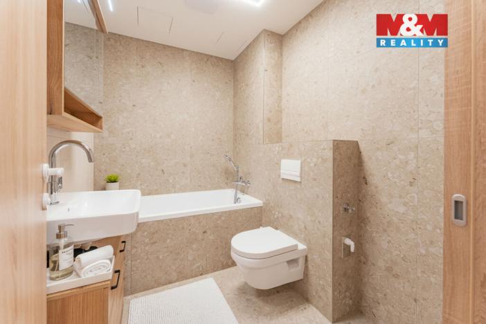 Pronájem bytu 1+kk, Brandýs nad Labem-Stará Boleslav - Brandýs nad Labem, Dřevčická, 38 m2