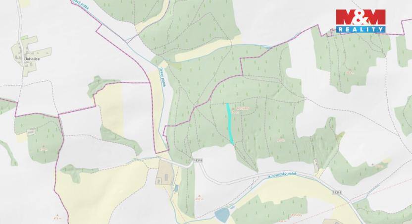 Prodej lesa, Koloveč, 10594 m2