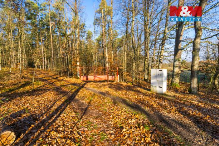 Prodej chaty, Týniště nad Orlicí - Štěpánovsko, 27 m2