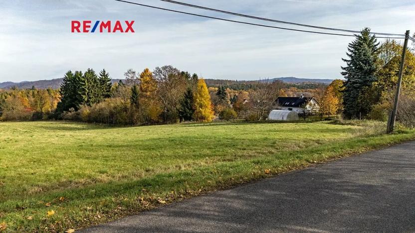 Prodej pozemku pro bydlení, Velká Bukovina, 1104 m2