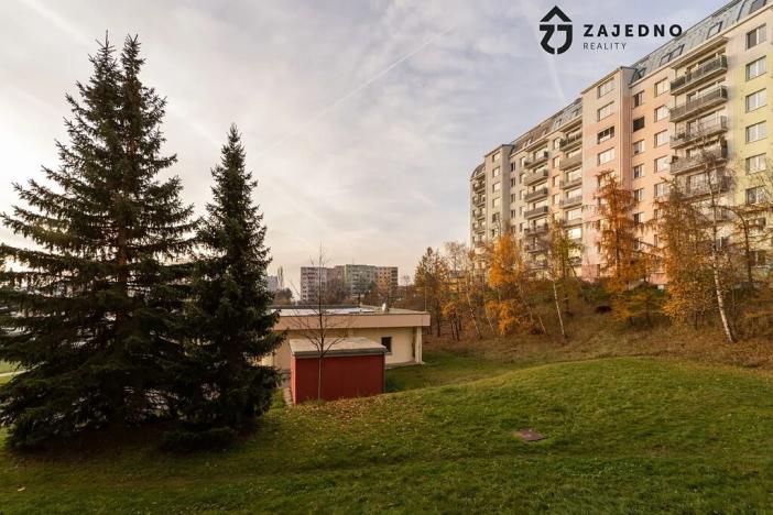 Pronájem bytu 1+1, Brno, Hochmanova, 39 m2