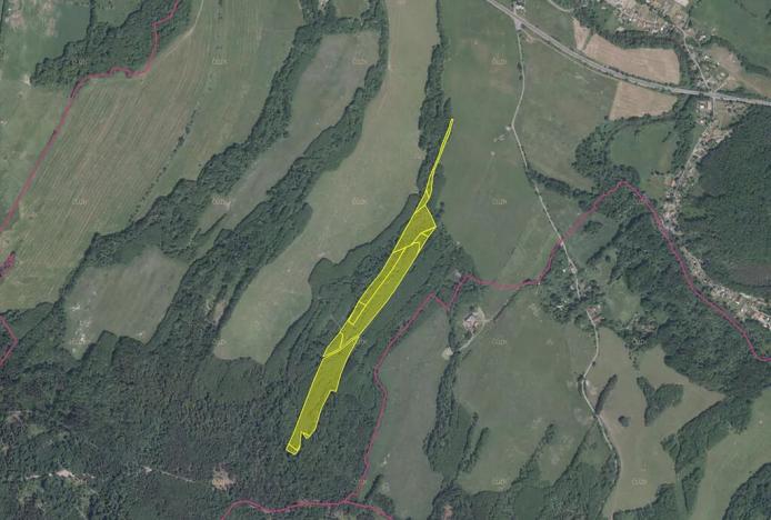 Prodej podílu pole, Stružnice, 12973 m2