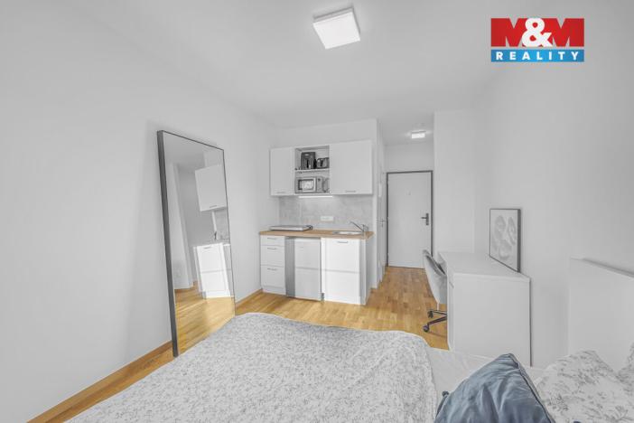 Prodej bytu 1+kk, Praha - Vysočany, U Lidového domu, 17 m2