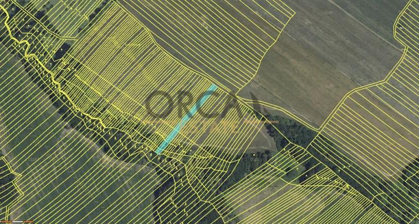 Prodej pole, Mistřice, 3576 m2