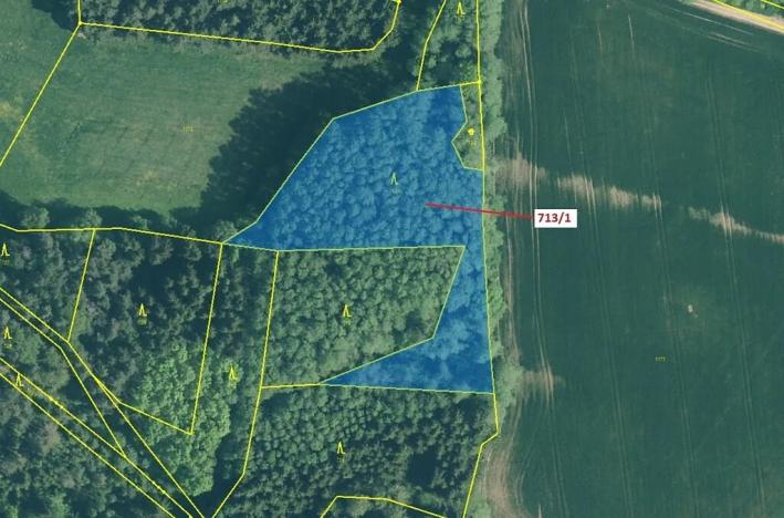 Dražba lesa, Kuřimany, 5067 m2