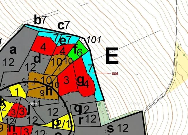 Dražba lesa, Kuřimany, 2526 m2