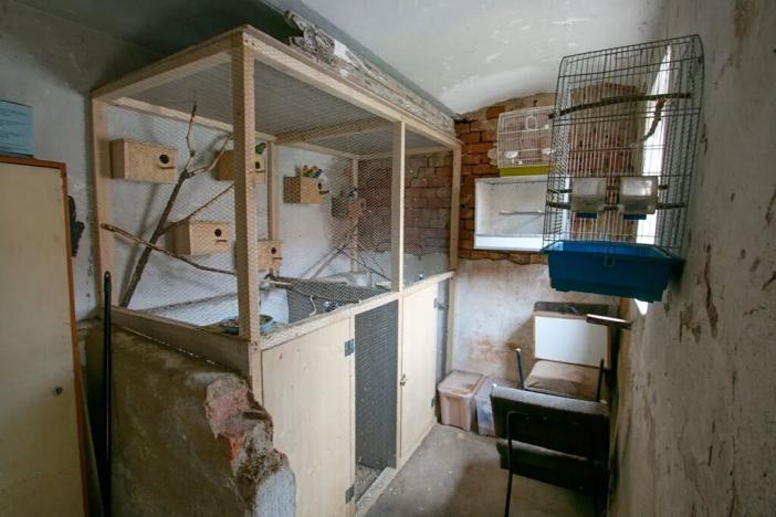 Pronájem rodinného domu, Opatovice, Sportovní, 76 m2