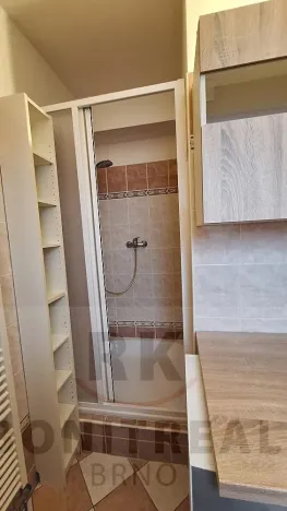 Pronájem bytu 1+1, Rebešovice, 40 m2