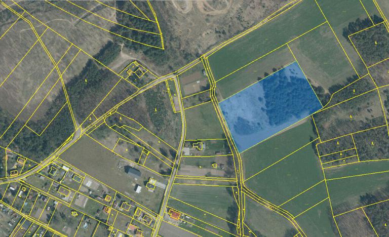 Prodej pozemku, Bechlín - Předonín, 15382 m2