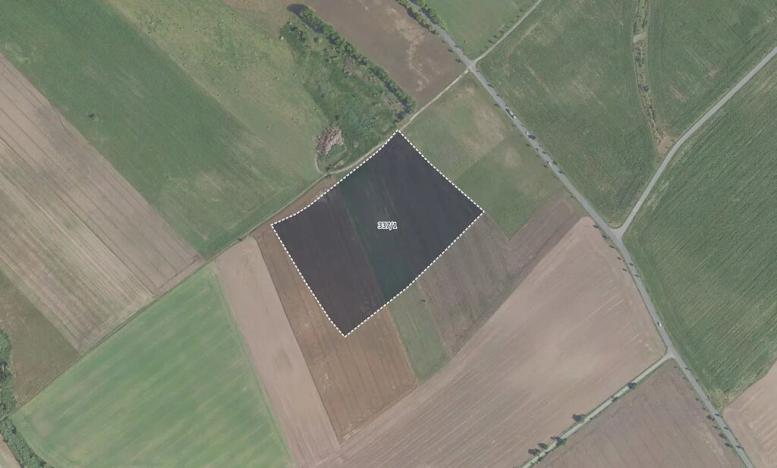 Prodej pole, Záryby, 24776 m2