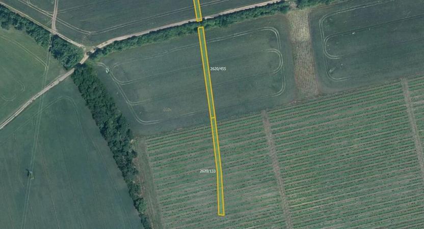 Prodej pole, Milotice, 7763 m2