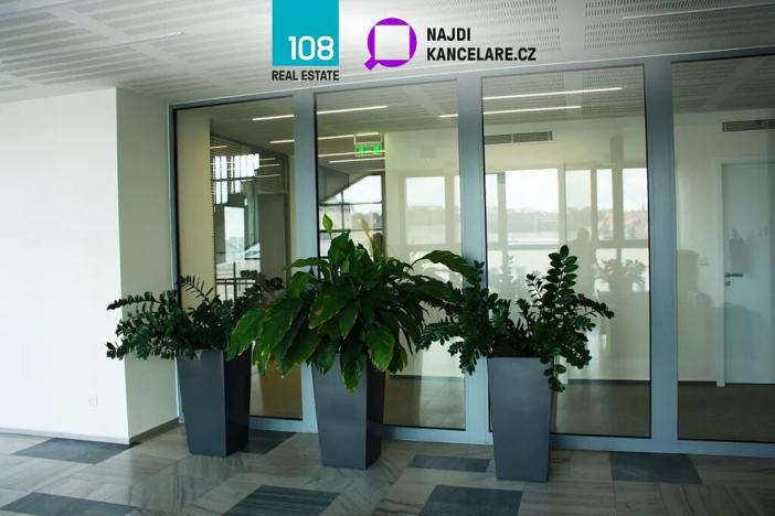 Pronájem kanceláře, Ostrava, Gregorova, 2594 m2