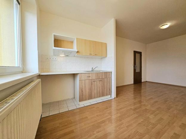 Pronájem bytu 1+kk, Brno, Svitavské nábřeží, 24 m2