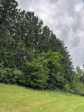 Prodej pozemku, Český Dub, 19364 m2