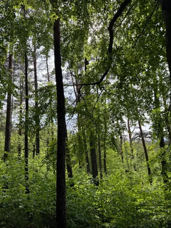 Prodej pozemku, Český Dub, 19364 m2