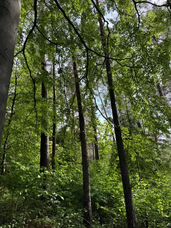 Prodej pozemku, Český Dub, 19364 m2