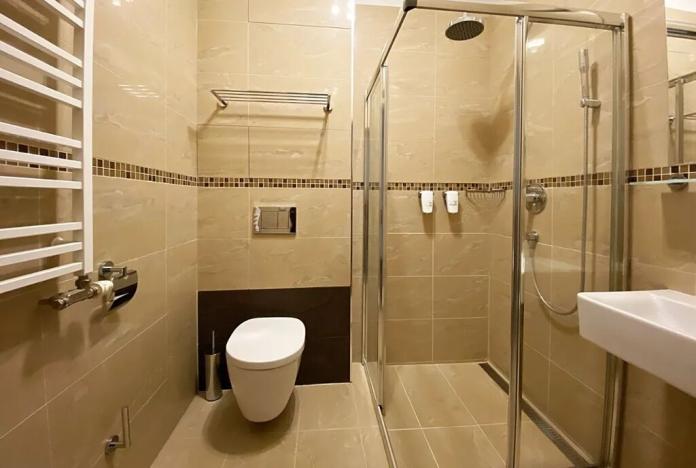 Pronájem bytu 1+kk, Brno, Francouzská, 24 m2