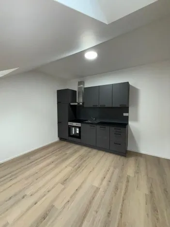 Pronájem bytu 1+kk, České Budějovice, Rudolfovská tř., 30 m2