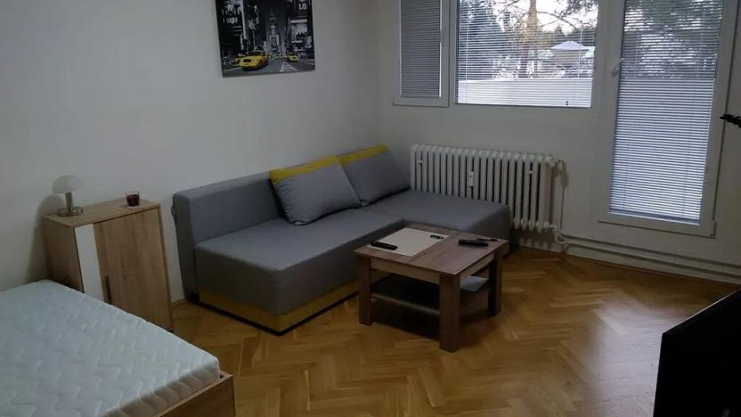 Pronájem bytu 1+1, Brno, Brožíkova, 38 m2