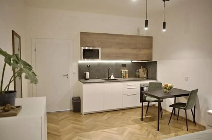 Pronájem bytu 1+kk, Praha - Žižkov, 27 m2