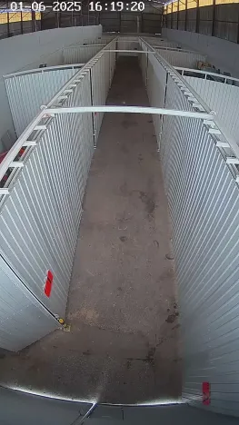 Pronájem skladu, Sedliště, 48 m2