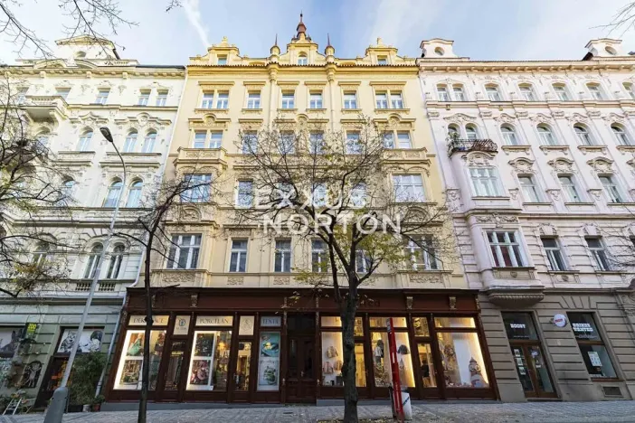 Prodej bytu 3+kk, Praha - Vinohrady, Italská, 110 m2