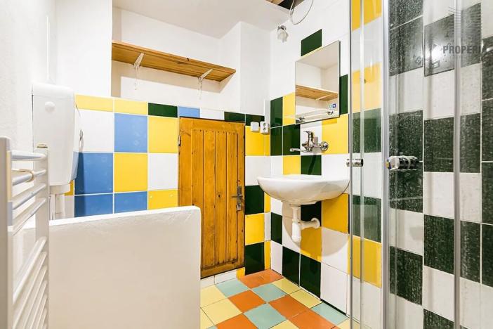 Prodej bytu 1+1, Brno, Hlinky, 27 m2