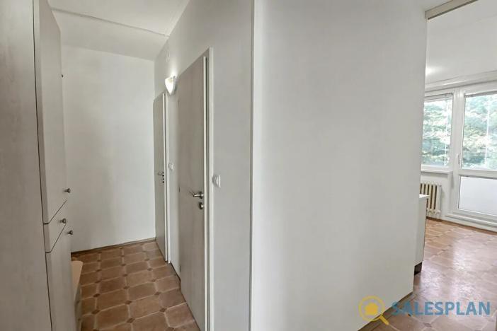 Prodej bytu 2+1, Brno, Foerstrova, 62 m2