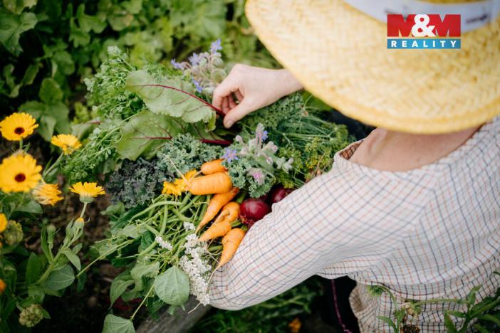 Prodej komerčního pozemku, Sušice - Divišov, 4292 m2